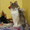 Отзыв от Вика Борисова